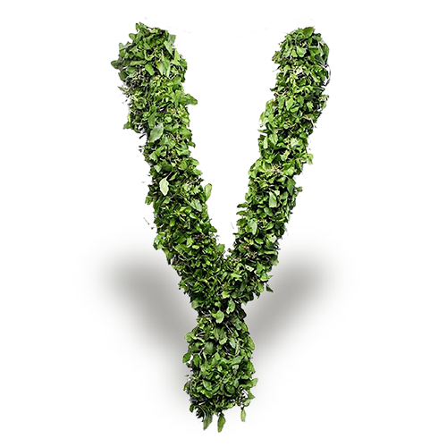 Tulsi Garland